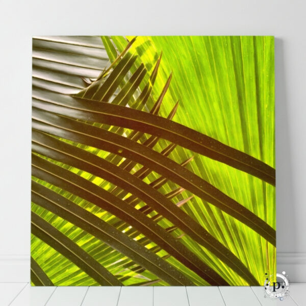 Tropical Ray