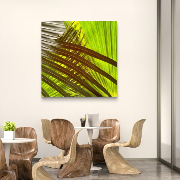 Tropical Ray - Image 4