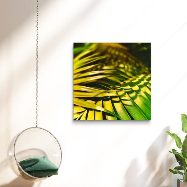 Sunshine Feather - Image 2