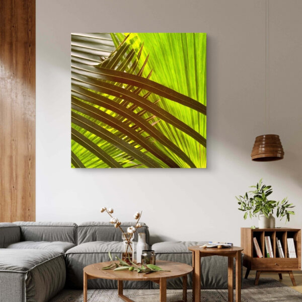 Tropical Ray - Image 3
