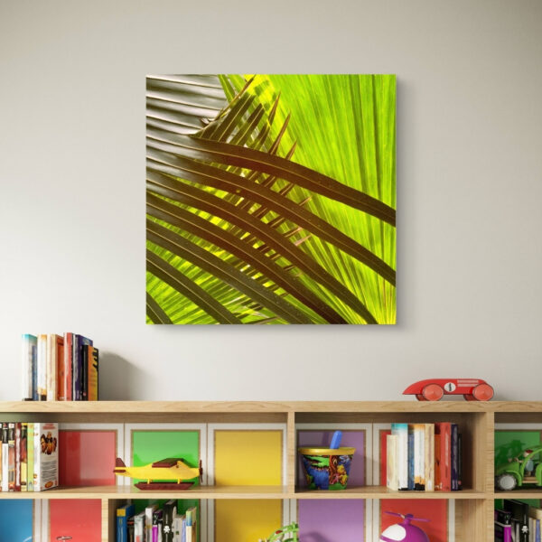 Tropical Ray - Image 2